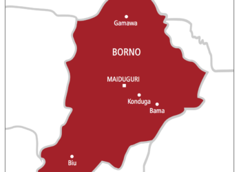 Borno map