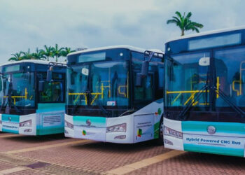 CNG buses