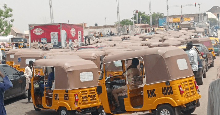 Commercial Tricycle