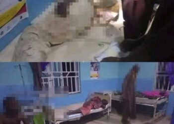 IMG 20260412 WA0014 1152x1536