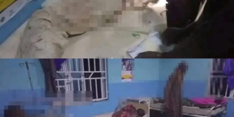 IMG 20260412 WA0014 1152x1536