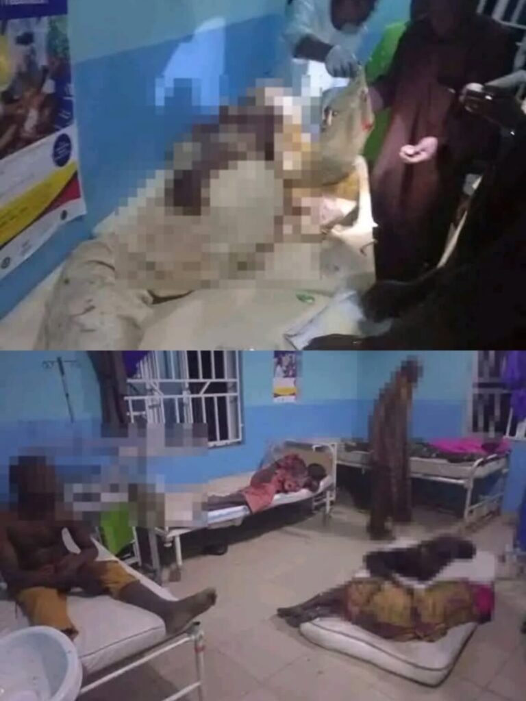 IMG 20260412 WA0014 1152x1536