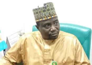 Ibrahim Auyo 480x430