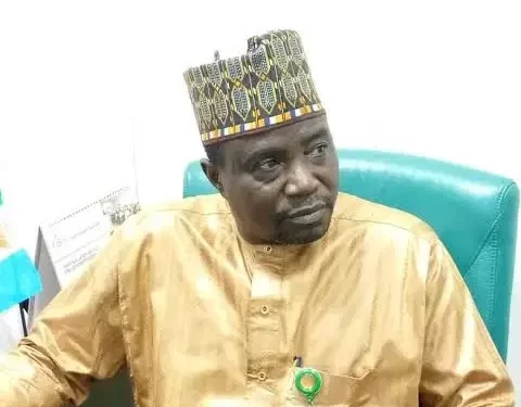 Ibrahim Auyo 480x430