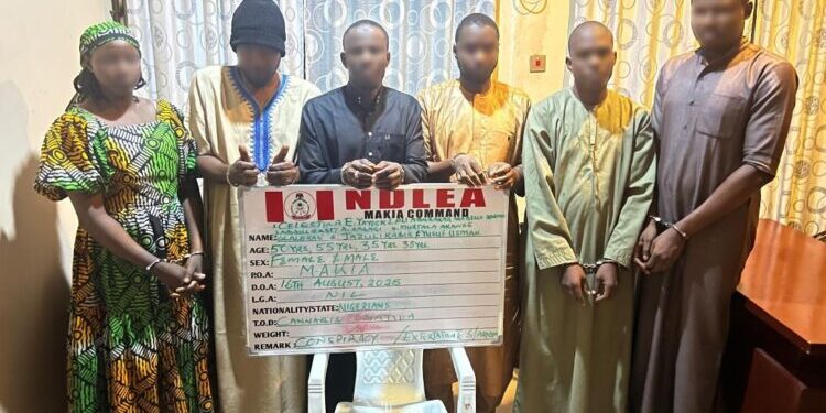 Kano drug kingpin others