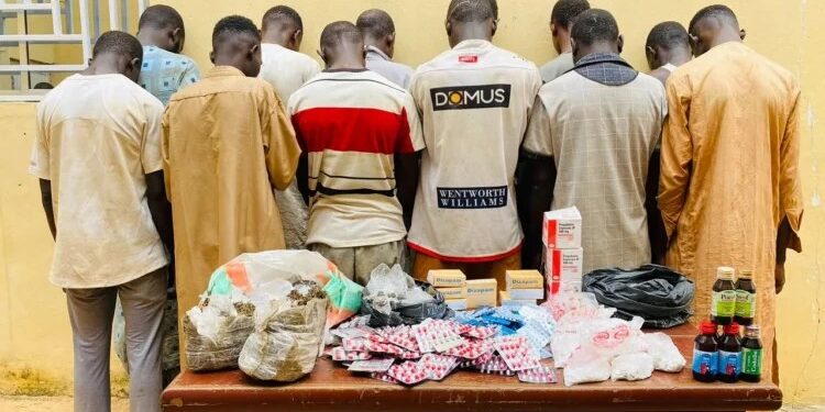 Kano drug suspects