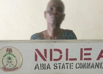 NDLEA
