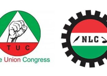NLC TUC1 1792685907