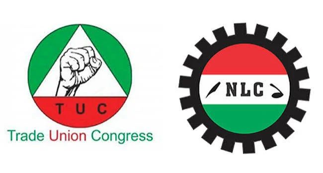 NLC TUC1 1792685907