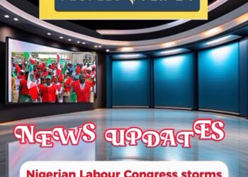 WhatsApp Image 2024 02 28 at 8.32.25 AM