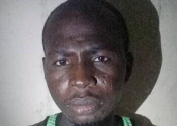 WhatsApp Image 2024 10 11 at 15.55.26 305ed757