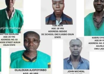 WhatsApp Image 2025 05 21 at 18.21.23 750x536 1 750x430