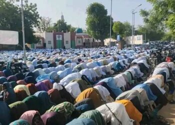 WhatsApp Image 2025 06 06 at 09.53.33