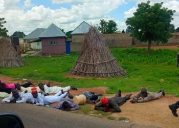 WhatsApp Image 2025 08 16 at 14.10.47 fead1eba