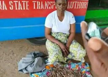 Woman arrested for transporting ammunition to terrorists in Katsina 1