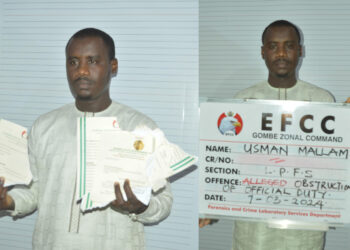 imgonline com ua twotoone bkRmNXMH7WE scaled