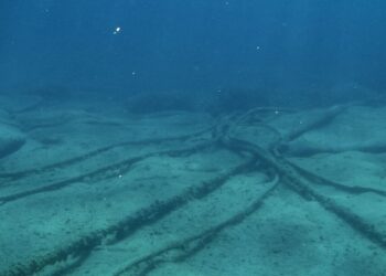 subsea cable