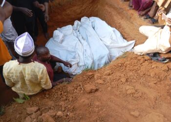 whatsapp image 2025 06 22 at 4.48.59 am