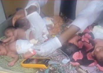 xGridArt 20260326 121239152.png.pagespeed.ic.B3IXtnM6rr